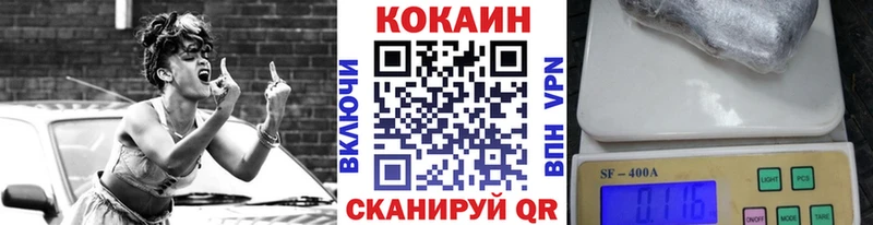 КОКАИН Fish Scale  Купить где  Мамадыш 