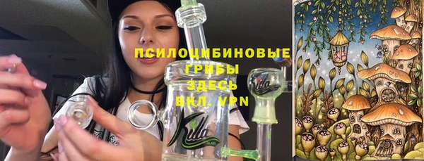 наркотики Бородино