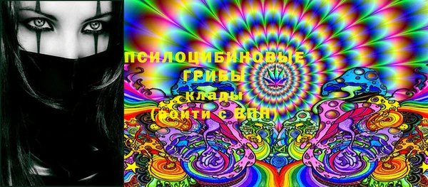 наркотики Бородино